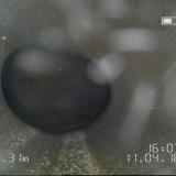 Zusammengedrücktes Abwasserrohr mit Rissen