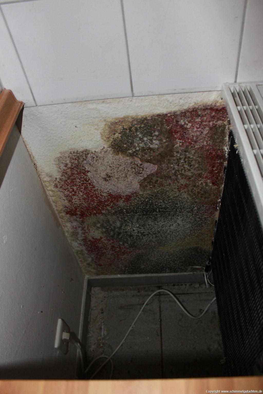 Schimmel hinter Kühlschrank