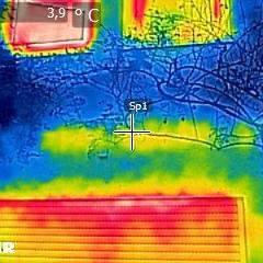 Thermografie Rollladenkasten